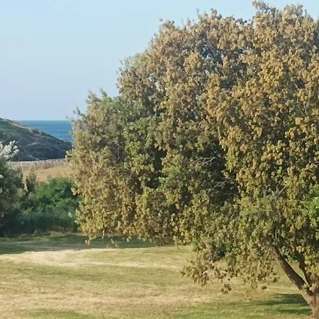 Appartement Vue Mer Exceptionnelle A 100M Tres Belle Plage Saint-Gildas-de-Rhuys Exterior photo